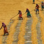 Artigiani, i lavoratori più richiesti nei prossimi anni